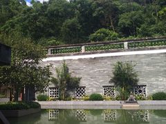 -广州神农草堂中医药博物馆
