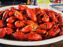 -同銮特种养殖场·龙虾垂钓