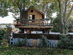 -HERRE·FARM 赫尔露营农场·团建聚会包场