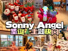 -广州奥园喜来登酒店