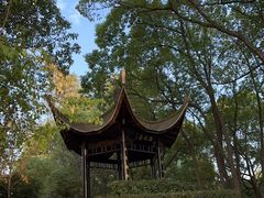 -东湖落雁景区