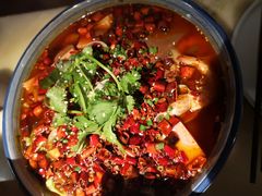 海鲜毛血旺-绿茶餐厅(成都大悦城店)