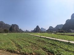 -明仕田园