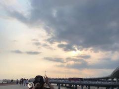 -演武大桥观景平台