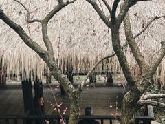 -黄公望隐居地