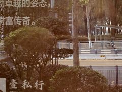 -重庆市江北嘴中央商务区中央公园