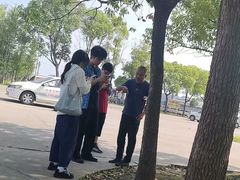 -光明驾校·学车·陪驾(川沙店)