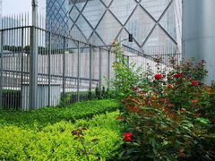 -中央广播电视总台(光华路办公区)