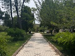 -旅顺博物馆