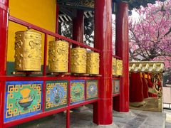 -西安市广仁寺