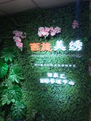 -西施无菌半永久纹绣眉眼影唇轻增发纹发际线