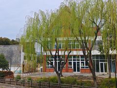 -新江湾城公园