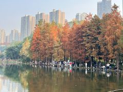 -重庆彩云湖湿地公园