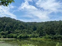 -南京市无想山景区