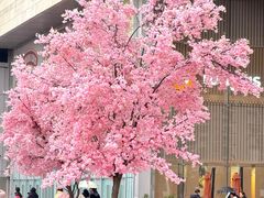 -首开·龙湖成都西宸天街