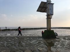 -南汇嘴观海公园