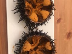 生海胆-海胆小馆(东北水饺·春柳店)