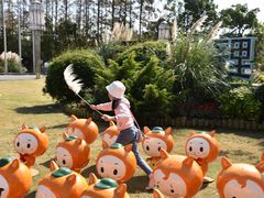 -上海长兴岛郊野公园