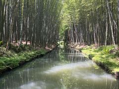 -同里国家湿地公园