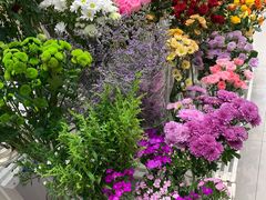 -双季花艺园艺市场(浦东店)