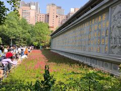 -西安大兴善寺