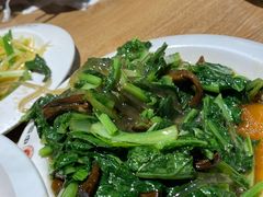 小白菜-直隶安家牛肉罩饼(建华店)