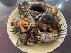 -老太婆饭店(广义路店)