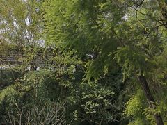 -福道