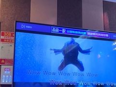 -唱吧麦颂KTV(松江五龙商业广场店)