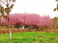 -白塘生态植物园