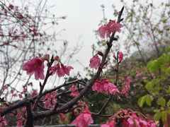 -小南山公园
