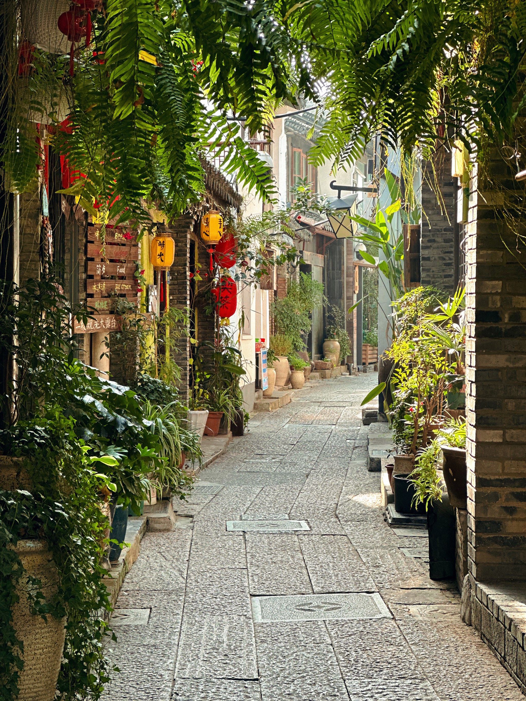 朱家角古镇 唯美江南