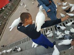 -延安杨家岭革命旧址