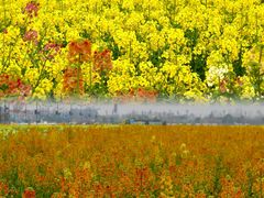 -中国天府农业博览园