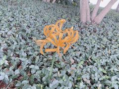 -西湖游船