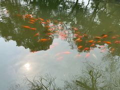 -西园寺