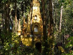 -莫里热带雨林景区