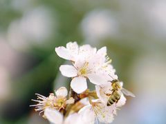 -上海辰山植物园