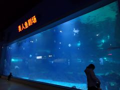 -福州罗源湾海洋世界旅游区