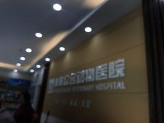 -德元·美联众合24小时动物医院(总院)