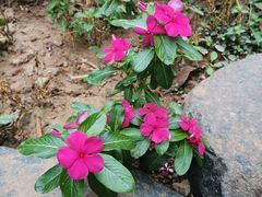 -厦门日月谷温泉渡假村