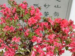 -杭州植物园