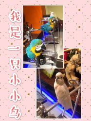 -未来动物城动物主题公园(大悦城店)