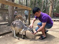 -可伦宾野生动物保护区