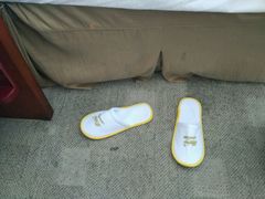 -上海棕榈滩海景酒店