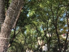 -杭州半山国家森林公园