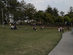 -美兰湖景区
