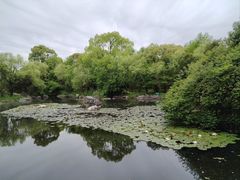 -上海滨江森林公园