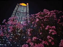 -地王国际商会中心