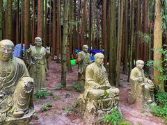 -武陵山森林公园